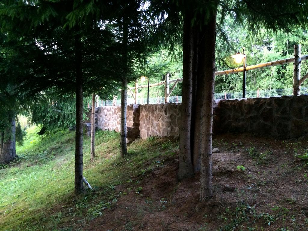 Casa Laur Cu Plaja Privata Colibiţa Exterior foto